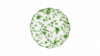 Eleanor Fern Salad Plate 8" rental in Austin, TX