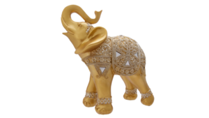 Gold Elephant rental Austin, TX