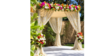 Pipe And Drape Canopy rental in Austin, TX