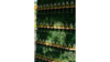 Double-Sided Champagne Flute Hedge Wall (4'X8') rental in Austin, TX