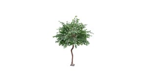 9' Faux Green Fig Tree rental Austin, TX