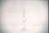 Champagne Flute 6Oz rental in Austin, TX