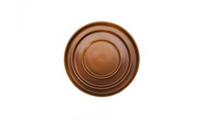 Heirloom Terracotta Dinner Plate 10.75" rental Austin, TX