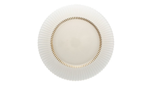 Archie Ginger Dinner Plate 10.5" rental Austin, TX