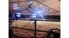 25M X 30M White Structure Tent rental in Austin, TX