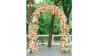 Soprano Arch rental in Austin, TX