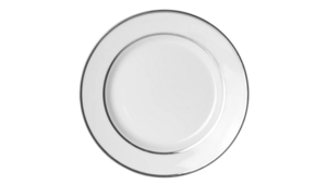 Double Platinum Dinner Plate 10.75" Bundle (10) rental Austin, TX