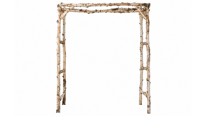 White Birch Arch Bundle rental Austin, TX