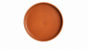Terracotta Stoneware Dinner Plate Bundle (10) rental Austin, TX