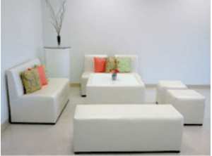 Love Lounge Set Bundle rental Austin, TX