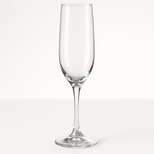 Aria White Champagne Flute 6Oz Bundle (36) rental Austin, TX