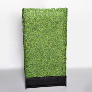 Tall Boxwood Hedge rental Houston, TX