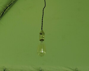 Edison Bulb Lighting - Per Bulb rental Milwaukee, WI