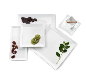 White Square Sheer Dinnerware rental Milwaukee, WI