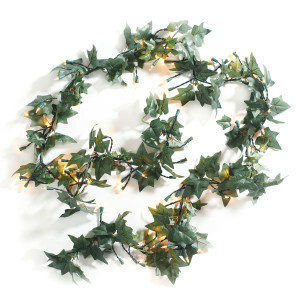 English Ivy rental Dallas-Ft. Worth, TX
