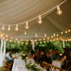 String Lights - 30' White rental in Dallas-Ft. Worth, TX