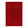 Red Rug rental in Dallas-Ft. Worth, TX