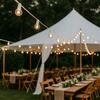 String Lights - 100' White rental in Dallas-Ft. Worth, TX
