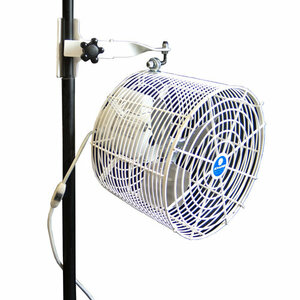 Tent Pole Fan rental Dallas-Ft. Worth, TX