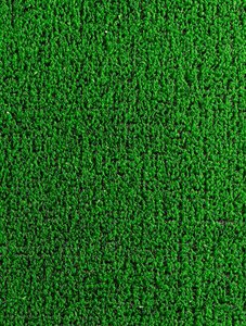 Astro Turf Classic Green Door Mat 40cm x 70cm - Austins Country Store