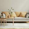 San Antonio, TX Sofas & Settees rentals