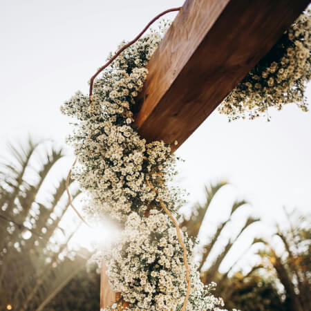 Wedding Rentals
