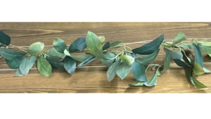 6 Ft greenery  rental Denver, CO