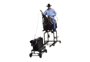 Roll-a-Roper rental Dallas-Ft. Worth, TX