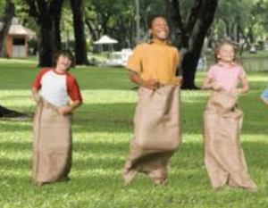 Picnic Game Package rental San Francisco-Oakland-San Jose, CA