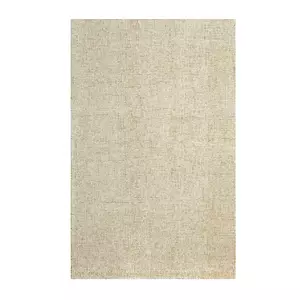 Neutral Rug rental San Antonio, TX