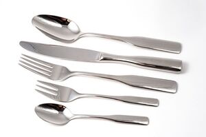 Stainless Flatware rental New Orleans, LA